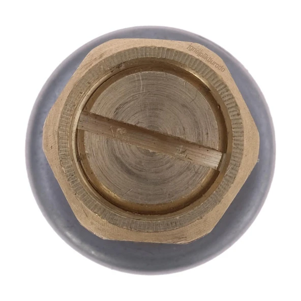 FDM Silter Sy Evg 38 Mini Ütü Emniyet Ventil Gövdesi 3/8'' - 3