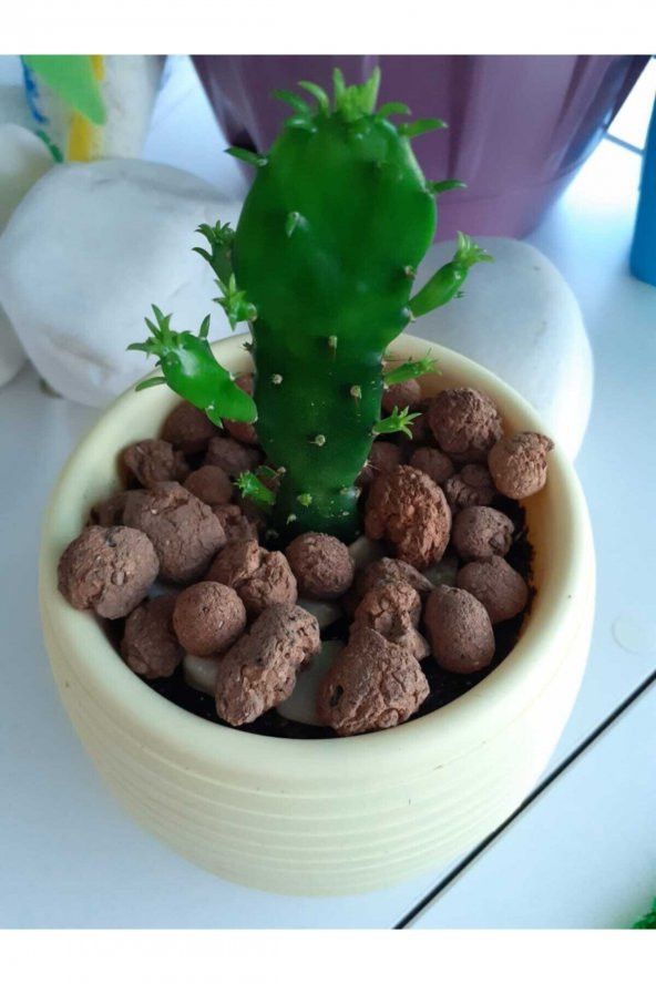 Kil Bilyesi 10 lt 8-16 mm - 3