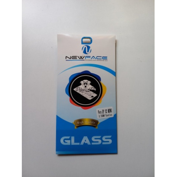 ASLANTİC İPHONE 12 MİNİ KIRILMAZ CAM KORUYUCU