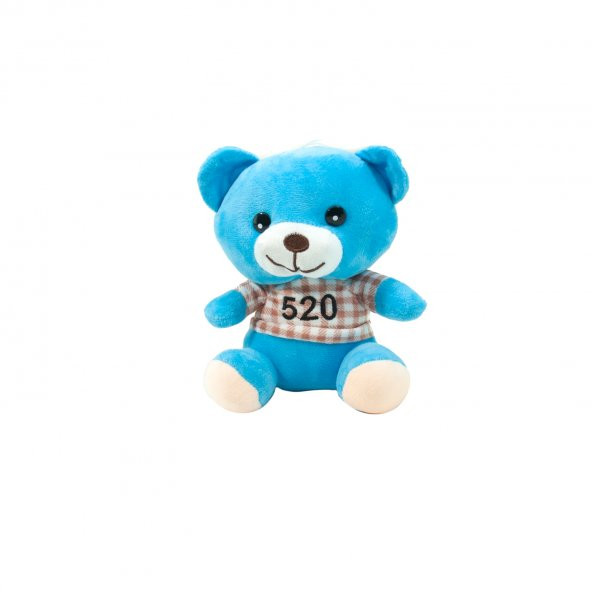 Pelüş Ayı Sevimli Kalpli Mini Ayı Mavi 20 Cm