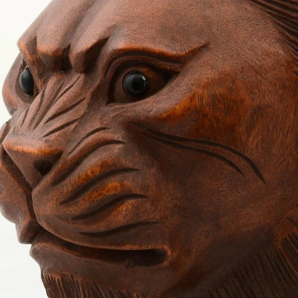 Maun Ağacı Aslan Kafası El Yapımı Duvar Dekoru Biblo 30cm - Resim 2