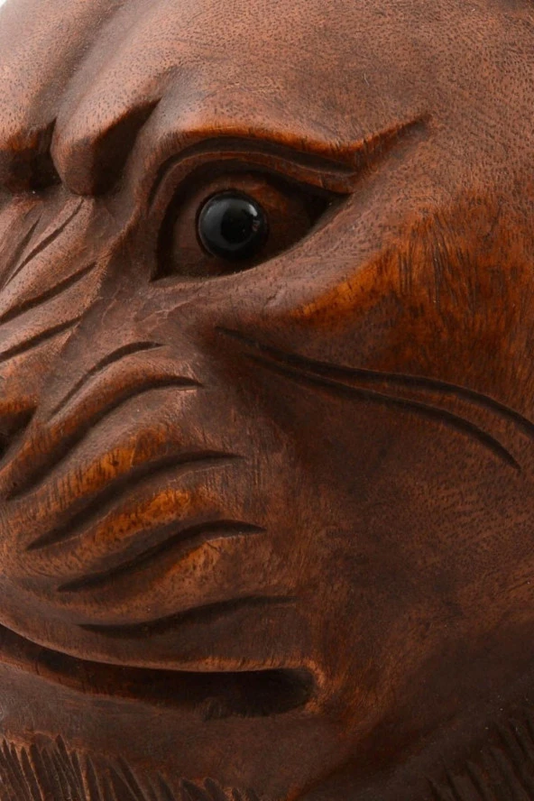 Maun Ağacı Aslan Kafası El Yapımı Duvar Dekoru Biblo 30cm - Resim 5