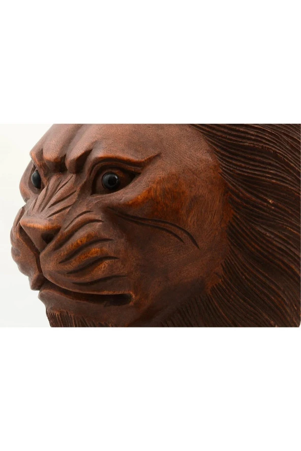 Maun Ağacı Aslan Kafası El Yapımı Duvar Dekoru Biblo 30cm - Resim 6
