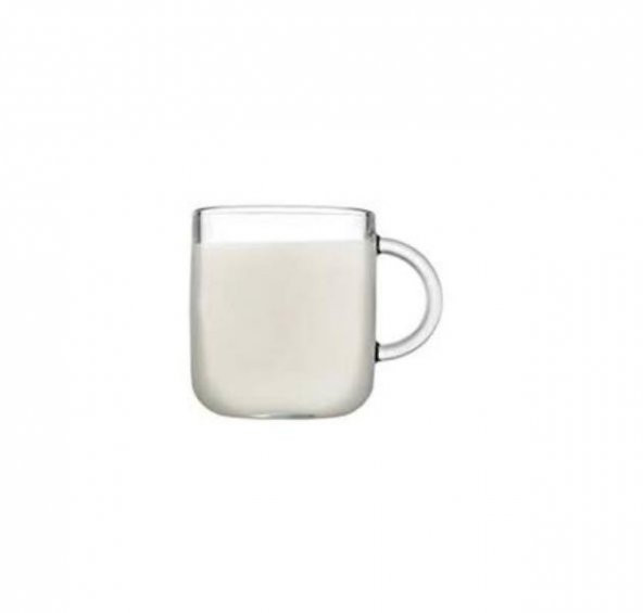 Paşabahçe 55192 Iconic 6lı Kulplu Bardak 245 cc