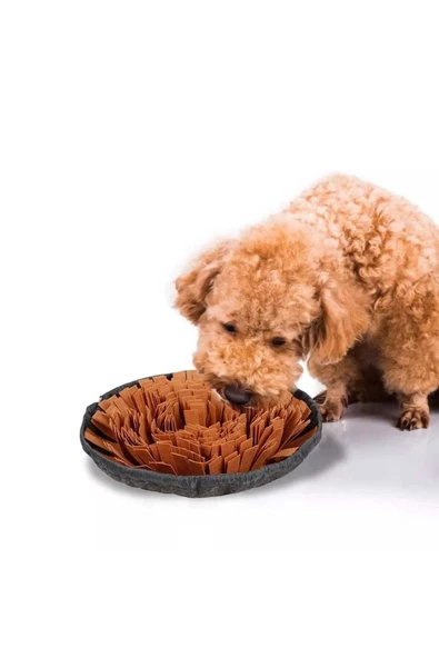 Köpek Yavaş Besleme Matı Mama Bulmaca Matı - Köpek Interaktif Oyuncağı KAHVERENGİ - 2