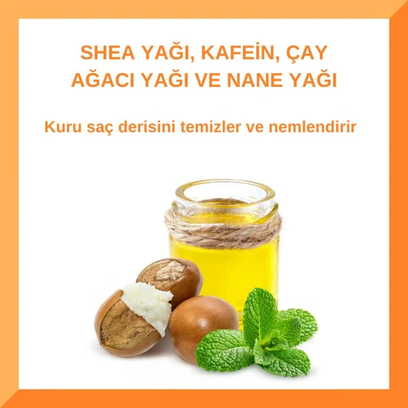 Cantu Men’s 2 in 1 Erkeklere Özel Saç ve Vücut Yıkama Jeli (Şampuan + Duş Jeli) - 3