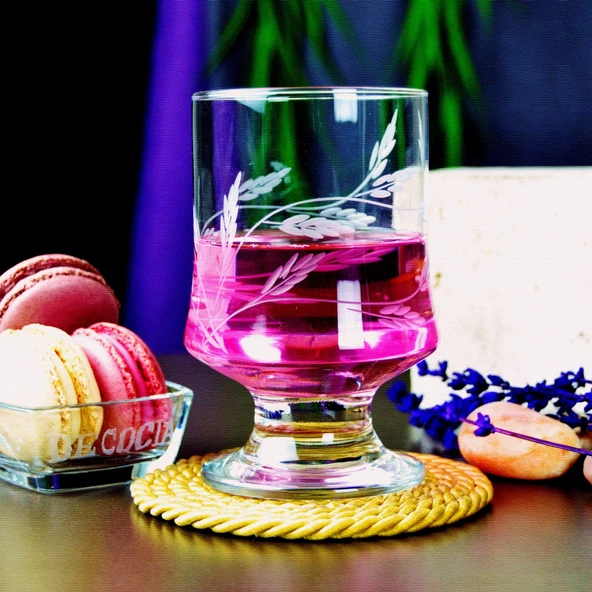 Decocia Aria 6 Adet Ayaklı Su Bardağı Magnolia Cup 310cc Sürgün Desenli - Resim 2