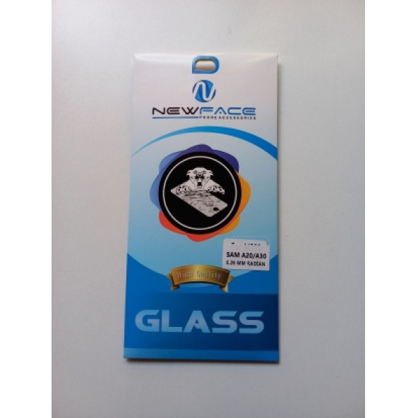 ASLANTİC SAMSUNG A20,A30 KIRILMAZ CAM KORUYUCU