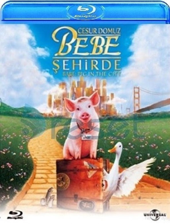 Bebe Pig In City - Cesur Domuz Bebe Şehirde Blu-Ray