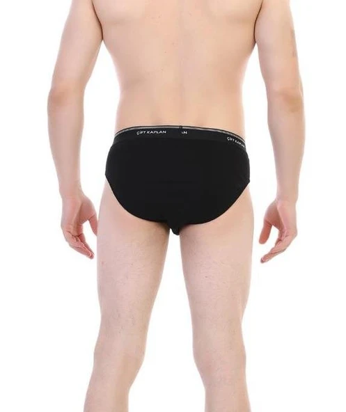 Çift Kaplan Erkek Ribana Slip Külot 870 - 3