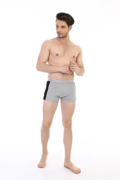 Çift Kaplan Erkek Elastanlı Biyeli Boxer 850 - 4