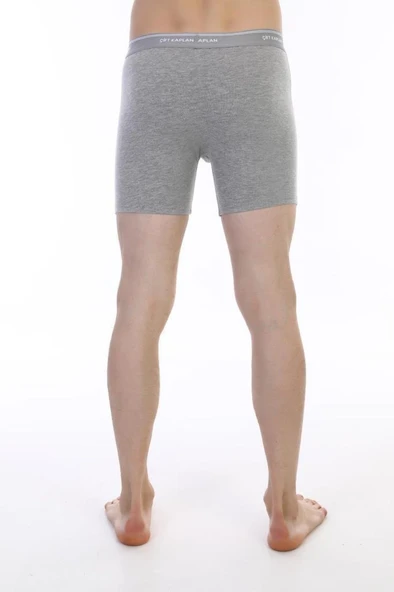 Çift Kaplan Erkek Elastanlı Biyeli Boxer 855 - 4