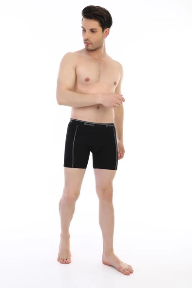 Çift Kaplan Erkek Elastanlı Biyeli Boxer 855 - 2