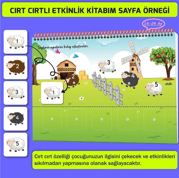 Y.Z. 16-24 Ay ve 2-4 Yaş Konuşma ve Dikkati Geliştiren Cırt Cırtlı Etkinlik Kitabım İkili Set - 4