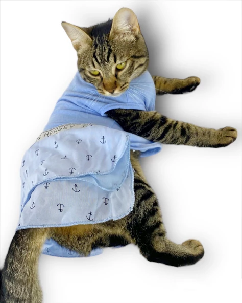 Blue Hersey Beck Kedi Elbisesi Kedi Kıyafeti ürün görseli 1