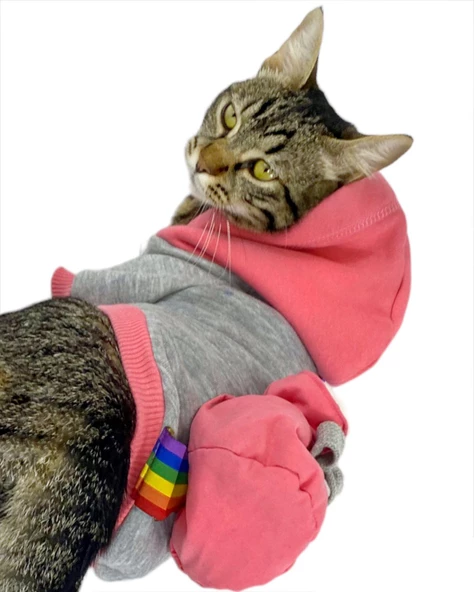 MyPocket Sweatshirt Duo Kapşonlu Kedi Kıyafeti Kedi Sweatshirt - Resim 3