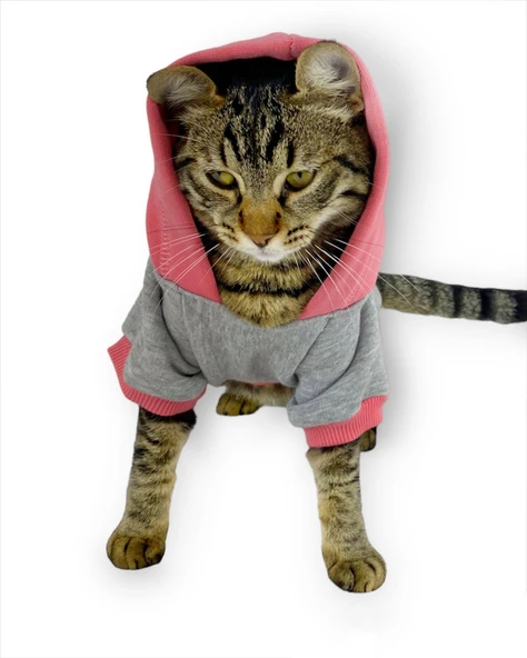 MyPocket Sweatshirt Duo Kapşonlu Kedi Kıyafeti Kedi Sweatshirt - Resim 2
