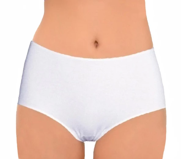 İmer 5015 Kadın İz Yapmaz Yüksek Bel Külot Slip