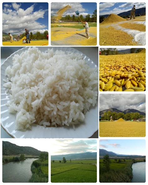 YERLİ KIZILIRMAK PİRİNCİ-(10 KG) ürün görseli