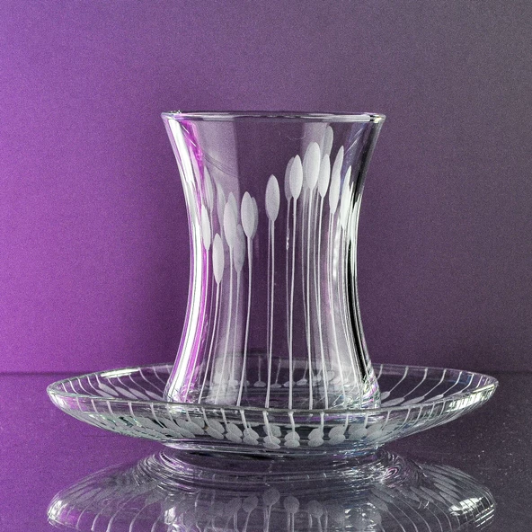 Decocia Nazen 12 Kişilik 24 Parça Çay Seti 175cc Vega Desenli - Resim 4