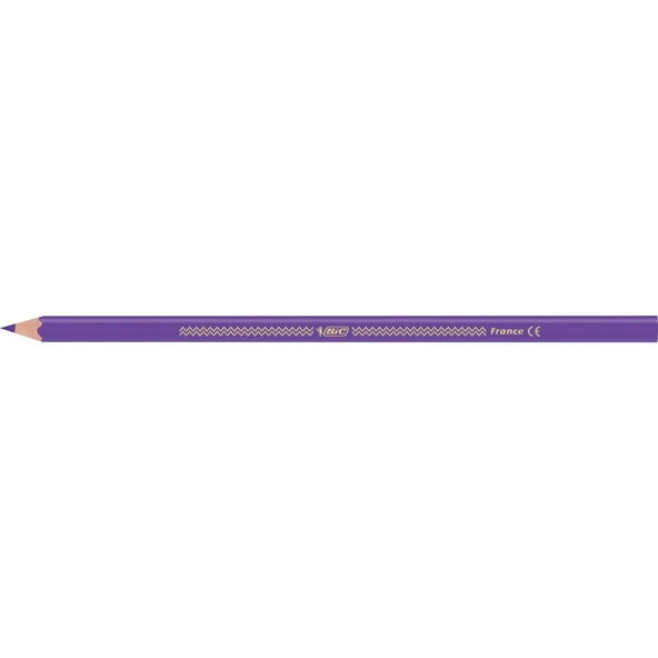Bic İntensity Color Up Kuru Boya Kalemi 12Li - 3