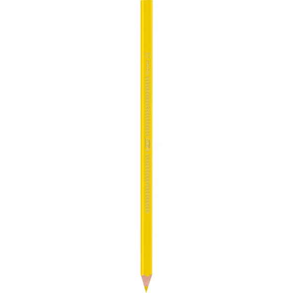 Bic İntensity Color Up Kuru Boya Kalemi 12Li - 5