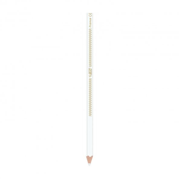 Bic İntensity Color Up Kuru Boya Kalemi 12Li - 2