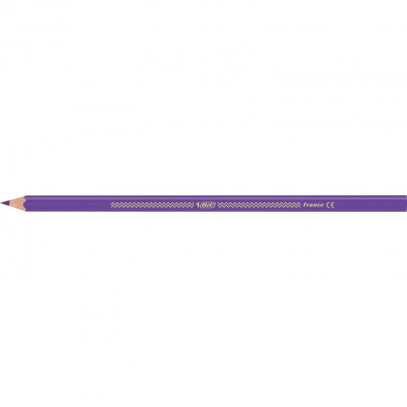 Bic İntensity Color Up Kuru Boya Kalemi 12Li - 3