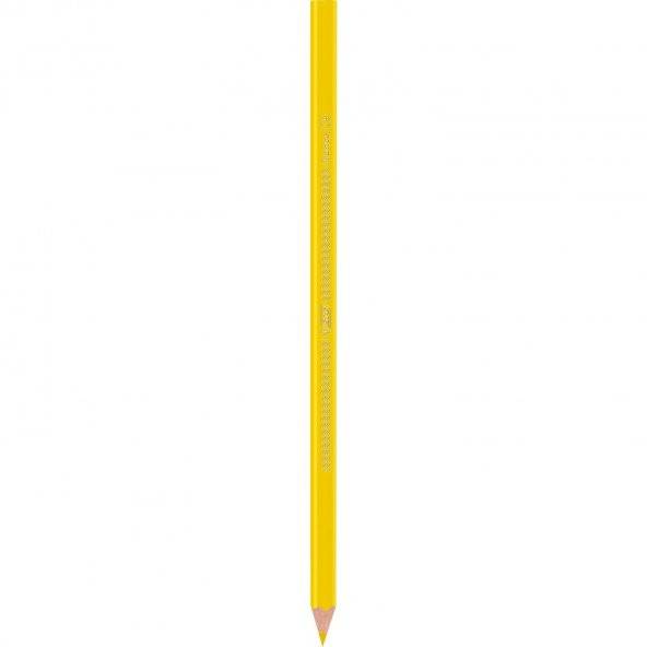 Bic İntensity Color Up Kuru Boya Kalemi 12Li - 5