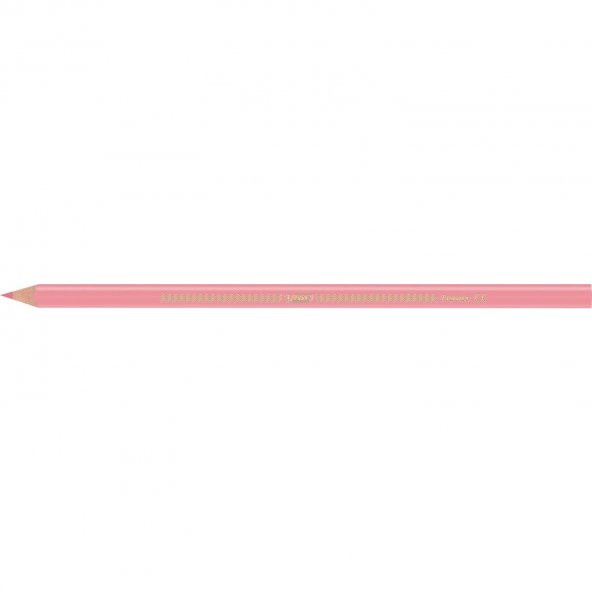Bic İntensity Color Up Kuru Boya Kalemi 12Li - 6