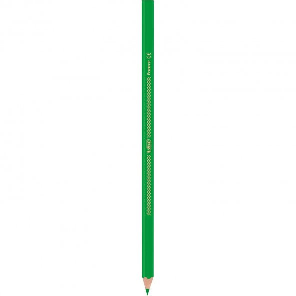 Bic İntensity Color Up Kuru Boya Kalemi 12Li - 4
