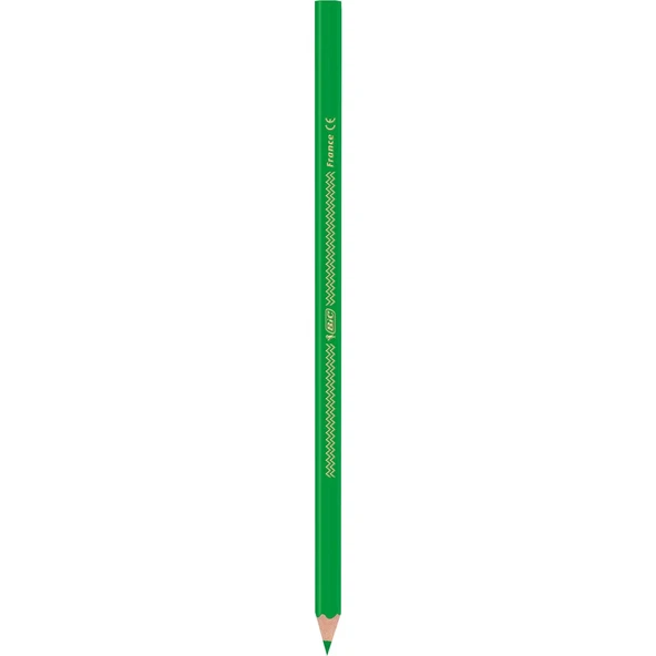Bic İntensity Color Up Kuru Boya Kalemi 12Li - 4