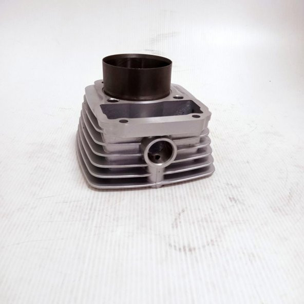 ZHONGSHEN CG 200 SİLİNDİR 13-65,5 - Resim 2