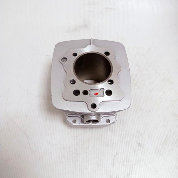 ZHONGSHEN CG 200 SİLİNDİR 13-65,5 - Resim 5