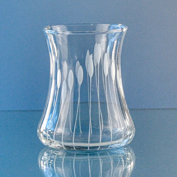 Decocia Kazaan 6Lı Çay Bardağı 170cc Vega Desenli - 2