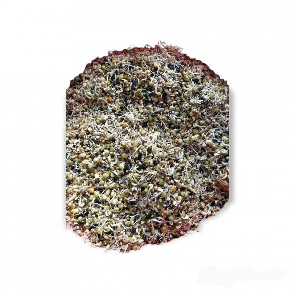 14 Çeşit Tohum Çimlendirmelik 500Gr (Filizlendirmelik) - 3