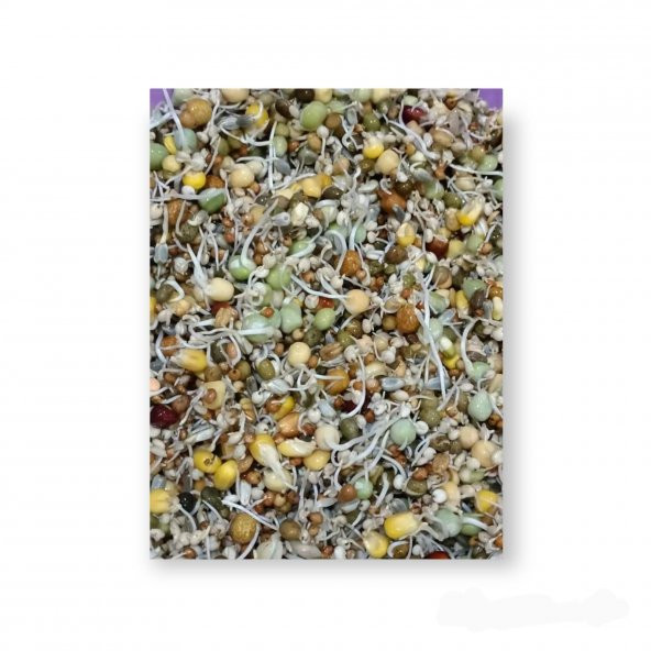 14 Çeşit Tohum Çimlendirmelik 500Gr (Filizlendirmelik) - 4