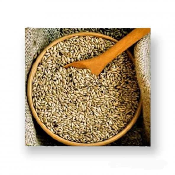 Vivid Sade Kanarya Yemi (Aspur) 2Kg