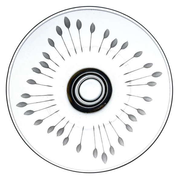 Decocia 6 Adet Dondurmalık Kase Vega Desenli - 3