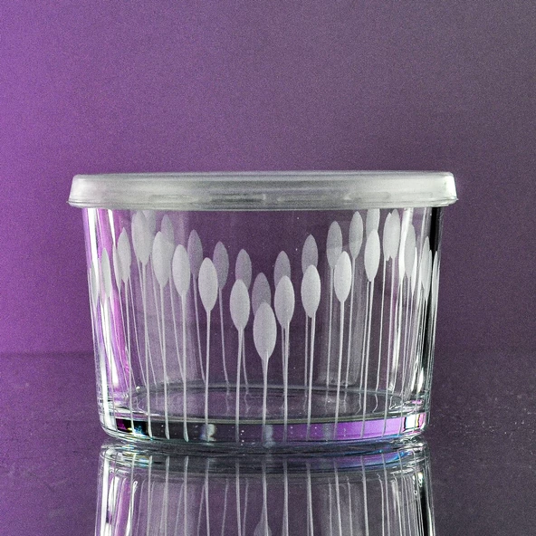 Decocia Şeffaf Kapaklı 3lü Reçellik Vega Desenli - Resim 3