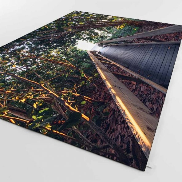 Kadser Orman Tahta Köprü 3D Kaymaz Taban Salon Halısı 80X150