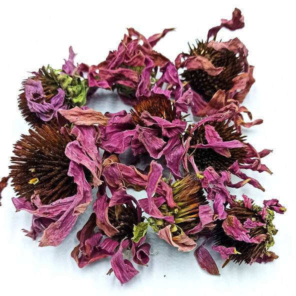 Naturdan Ekinezya Çiçeği 1 kg - 2