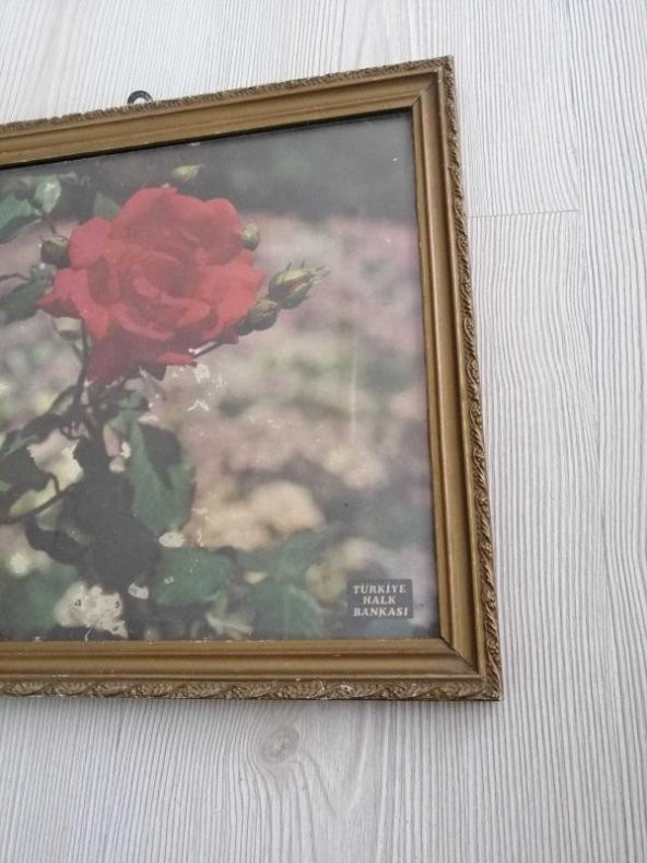 TÜRKİYE HALK BANKASI YAZILI VİNTAGE BASKI FOTOĞRAF ÇERÇEVESİ AHŞAP ÇERÇEVE - 3