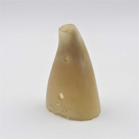 Gerçek Boynuz - Karanfillik - Boynuz Vazo - Resim 2