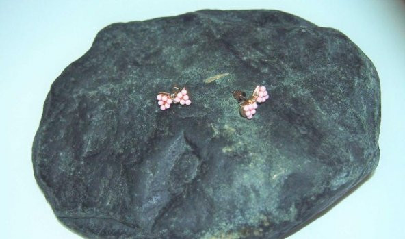 Sanat Taciri- Pembe Fiyonk Boncuklu Küpe - 2