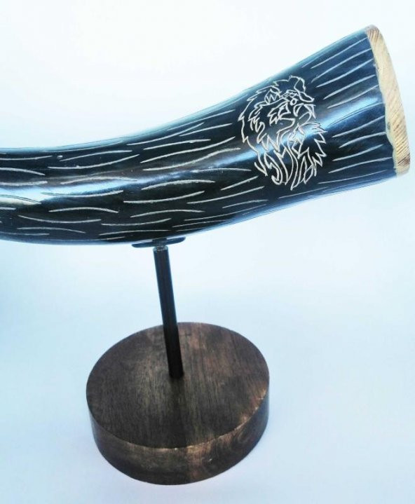45CM ORJİNAL BUFALO BOYNUZU KAİDELİ BOYNUZ DEKORLUK