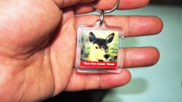 Sanat Taciri Antika Plastik Çift Taraflı Anahtarlık - Geyik ve Domuz Temalı Anahtarlık ürün görseli