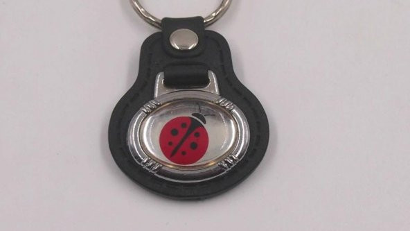 Sanat Taciri  Uğur Böceği Temalı Metal Anahtarlık - Resim 3