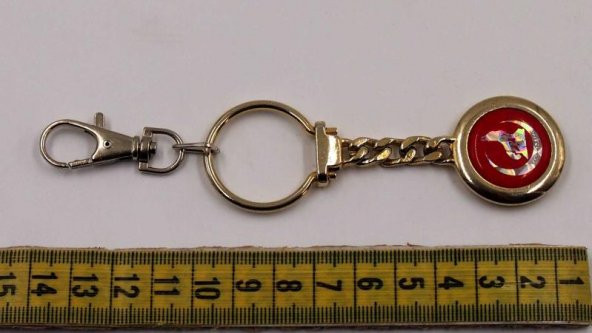 Sanat Taciri  Uğur Böceği Temalı Çift Taraflı Metal Anahtarlık - Resim 3