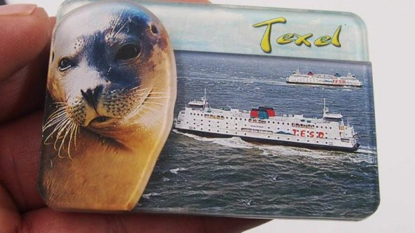 Sanat Taciri - Texel Temalı Magnet Fok Balığı Mika